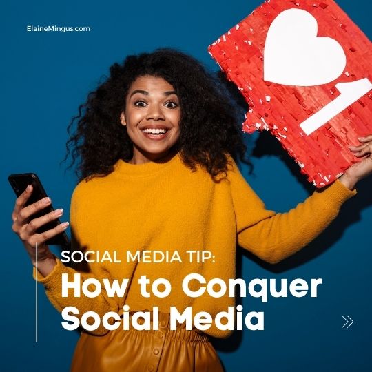 Conquer Social Media